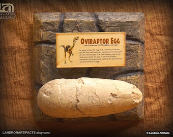 Oviraptor Egg Fossil Replica - One Of A Kind Wall Mountable Display Jurassic Park Dinosaur Universal Studios