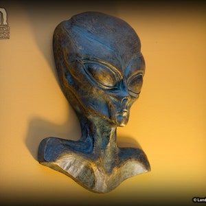 May include: A gray alien bust sculpture with a textured surface. The sculpture is made of a dark gray material and has a realistic appearance.