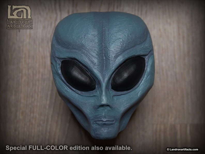 May include: A gray alien head sculpture with large black eyes. The sculpture is made of a textured material and has a realistic appearance.