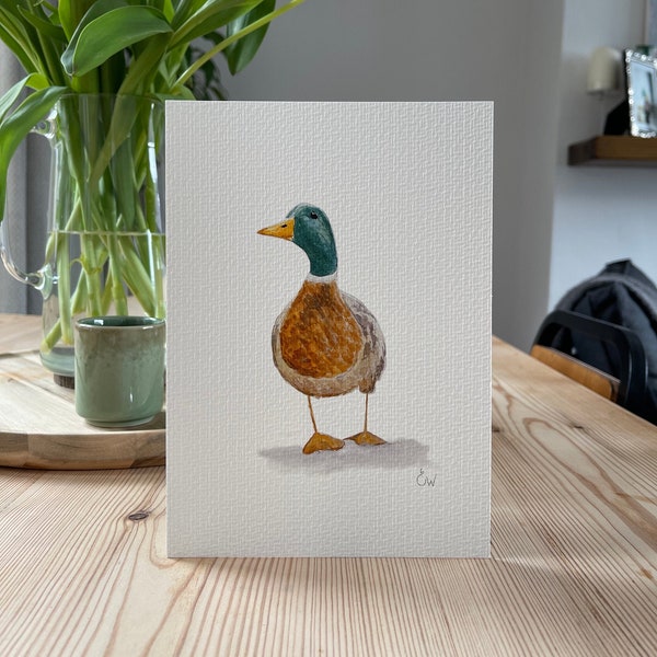 Mallard Duck Watercolour Art Print