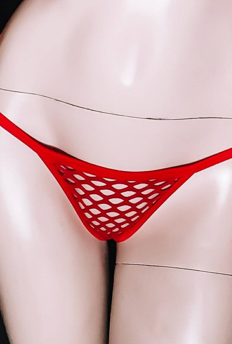 Sexy Birthday Gift for Her Panties Pack of Thongs for Women Lingerie See Through Fishnet Thong in Bulk image 4