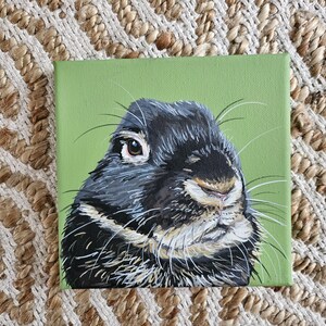 Custom Bunny Rabbit Portrait Painting Personalized on 6x6 5x7 Canvas Art Modern Decor Pet Memorial Love image 16