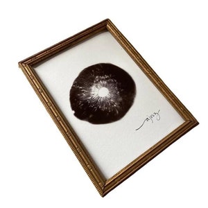 Puede incluir: Una fotografía en blanco y negro enmarcada de un hongo con un centro blanco. El marco es dorado y tiene un borde decorativo. La firma del artista, "ajosz", está escrita en cursiva en la esquina inferior derecha.