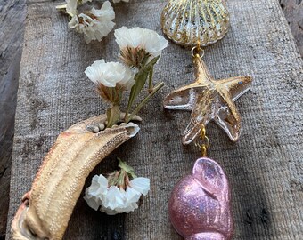 Shells and Starfish