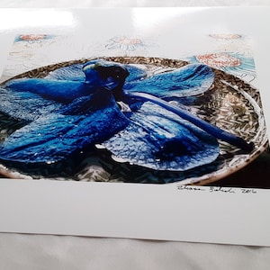Betitelte Plazidität Orchidee Original Kunst Fotografie, signiert und datiert