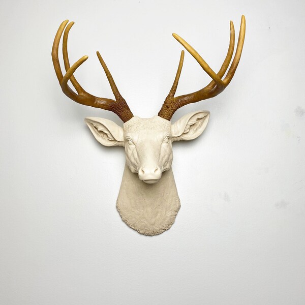 Deer Wall Mount Etsy