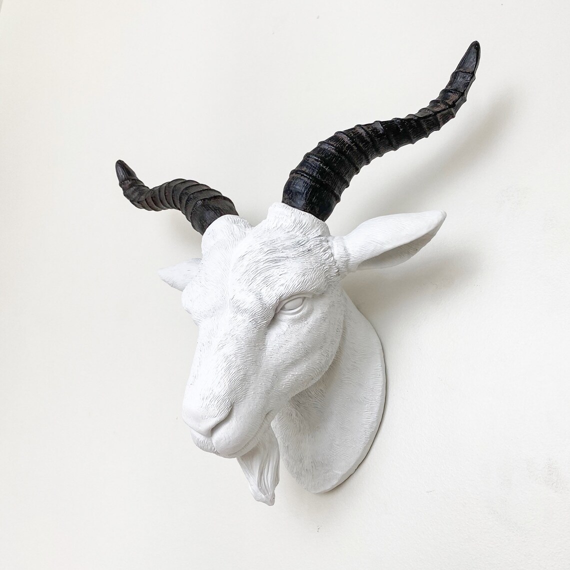 ANY COLOR Goat Head Wall Mount Faux Taxidermy Farm Decor Etsy