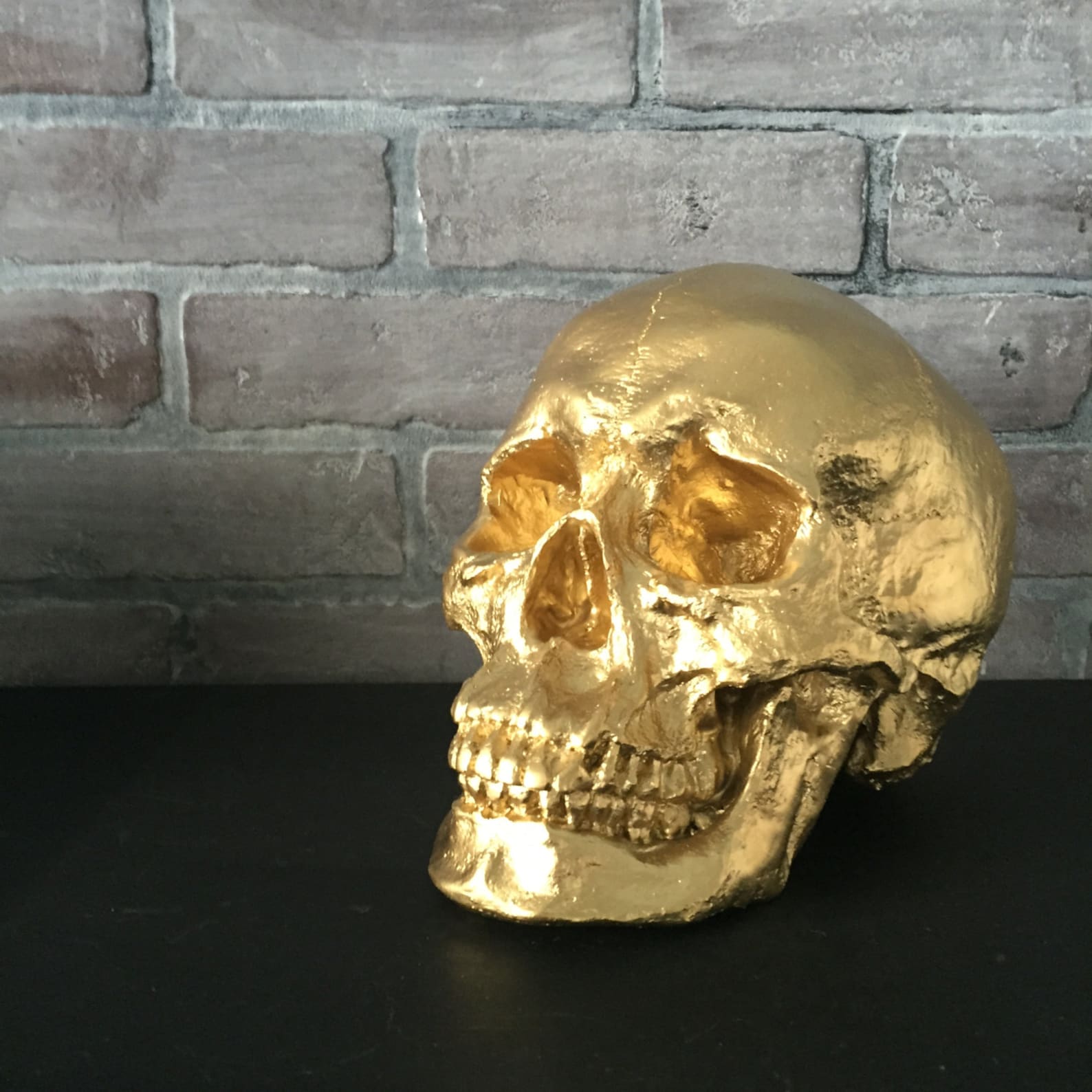 Image of Halloween Resin Skull