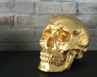 ANY COLOR Resin Human Skull Decor | Faux Taxidermy | Skeleton | Home Accent | Desk Decor | Decorative Statue | Fireplace Mantle | Gothic