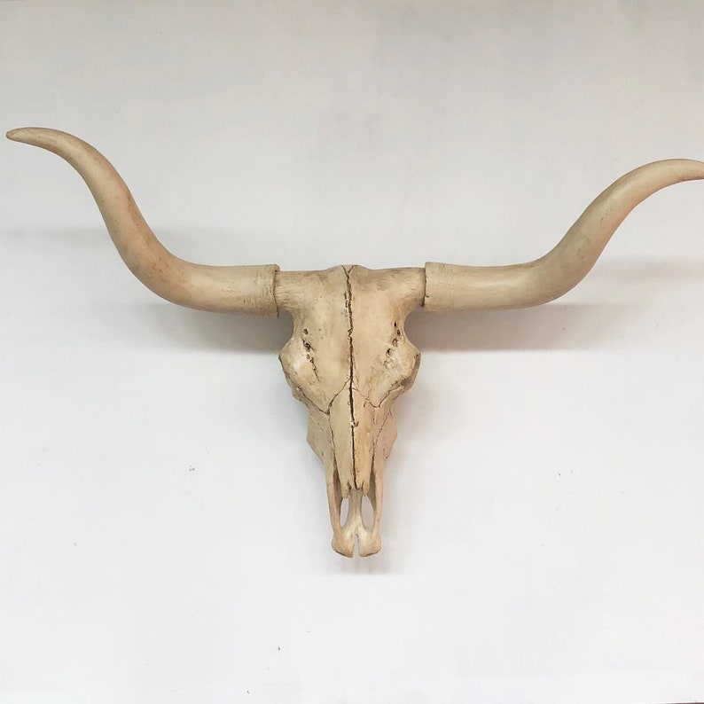 Any Color Faux Taxidermy Longhorn Skull Wall Mount Cow Bone Bison Buffalo Southwestern Decor Farmhouse Steer