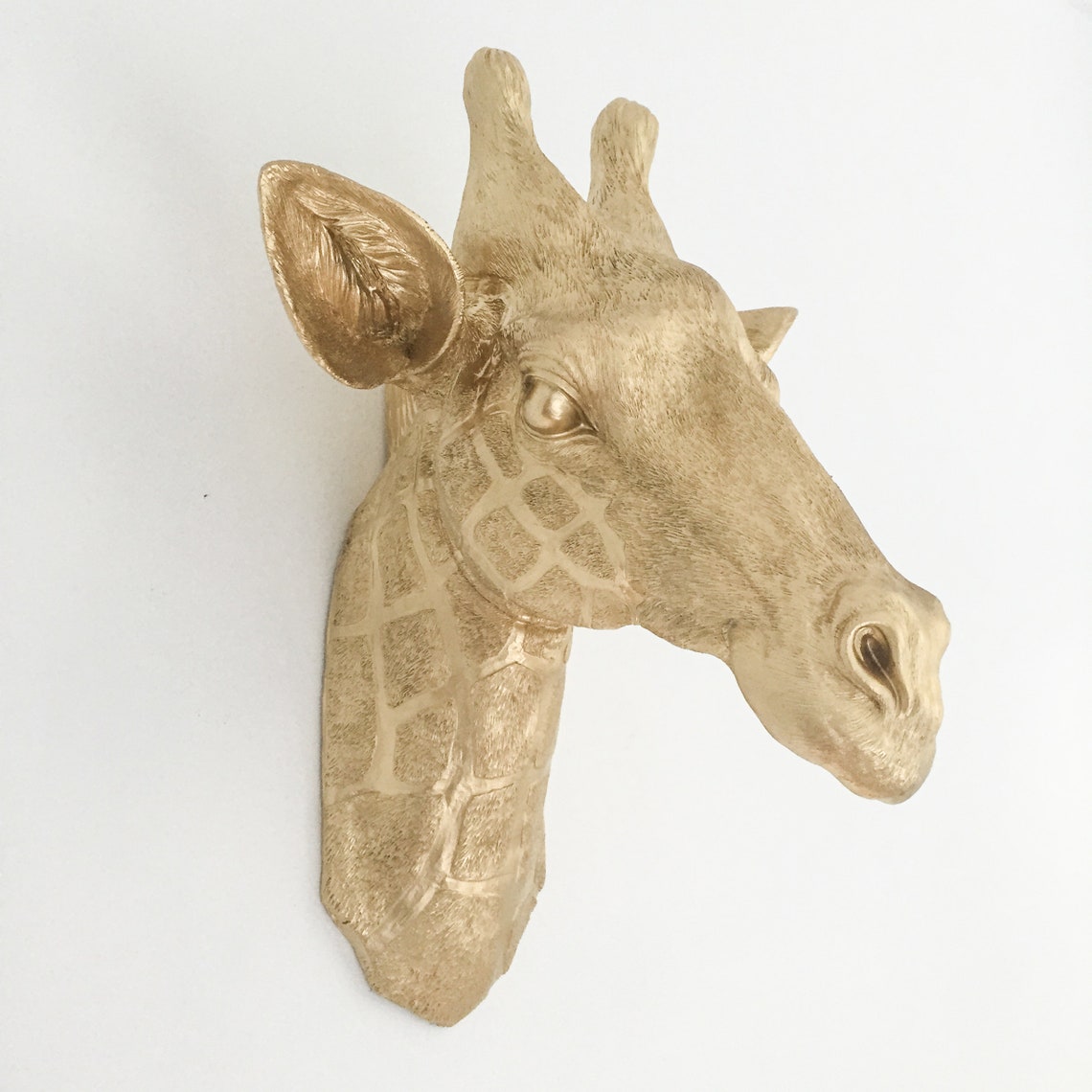 ANY COLOR Resin Giraffe Head Wall Mount Faux Taxidermy - Etsy