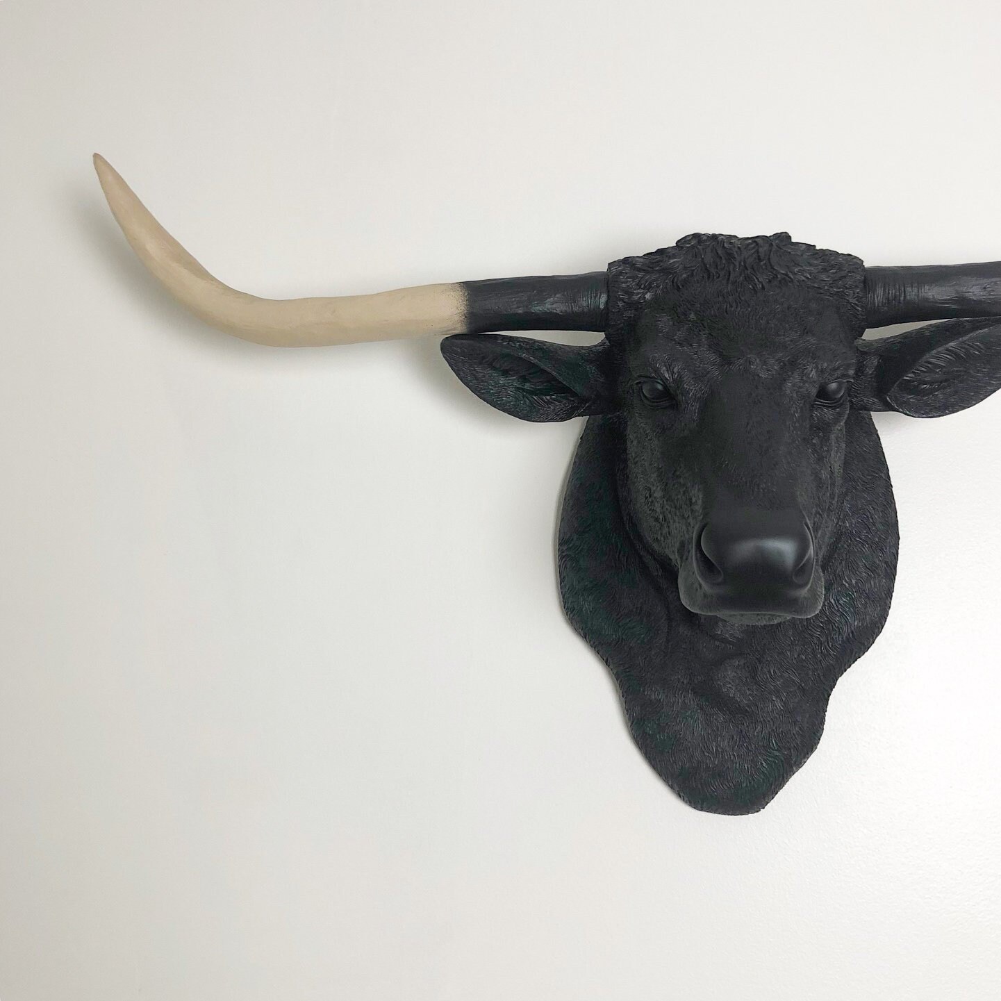 XLarge Cow Head Wall Mount Decor BLACK w/ NATURAL Horns Etsy