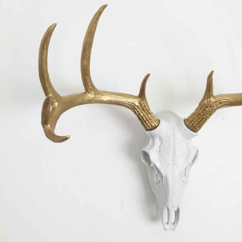 ANY COLOR Faux Deer Skull Wall Mount // Gold & White Faux Etsy