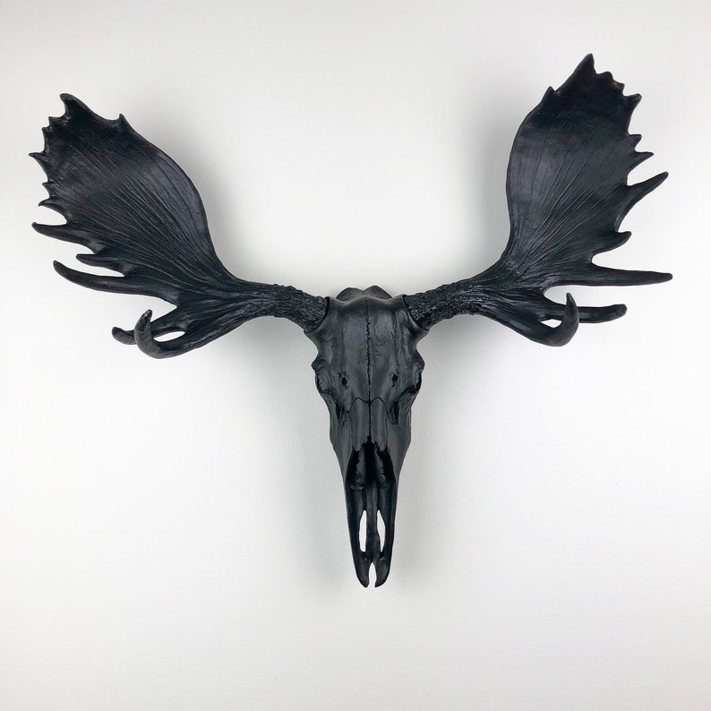 ANY COLOR or BLACK Large Moose Skull Wall Art Resin Animal - Etsy