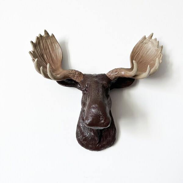 Resin Moose Head Etsy