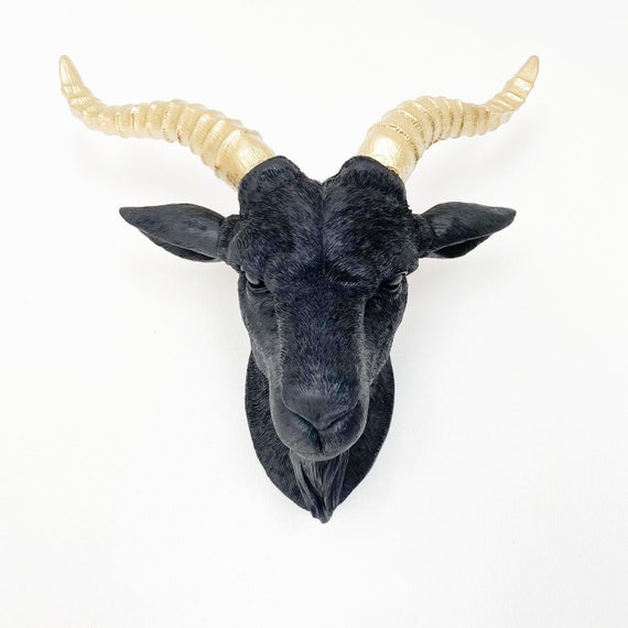 ANY COLOR Goat Head Wall Mount Faux Taxidermy Gothic Decor Etsy