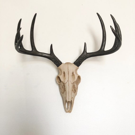 Any Color Faux Deer Skull Wall Hanging Faux Taxidermy Etsy