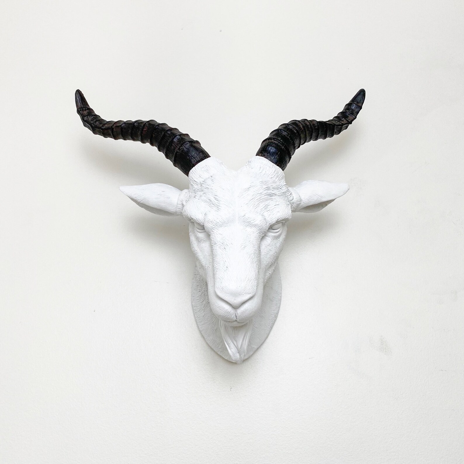 ANY COLOR Goat Head Wall Mount Faux Taxidermy Farm Decor Etsy