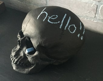 CHALKBOARD Human Skull Decor | Faux Taxidermy | Tabletop Decoration | Desk Decor | Skeleton | Gothic Home Decor | Gift for Her | Halloween