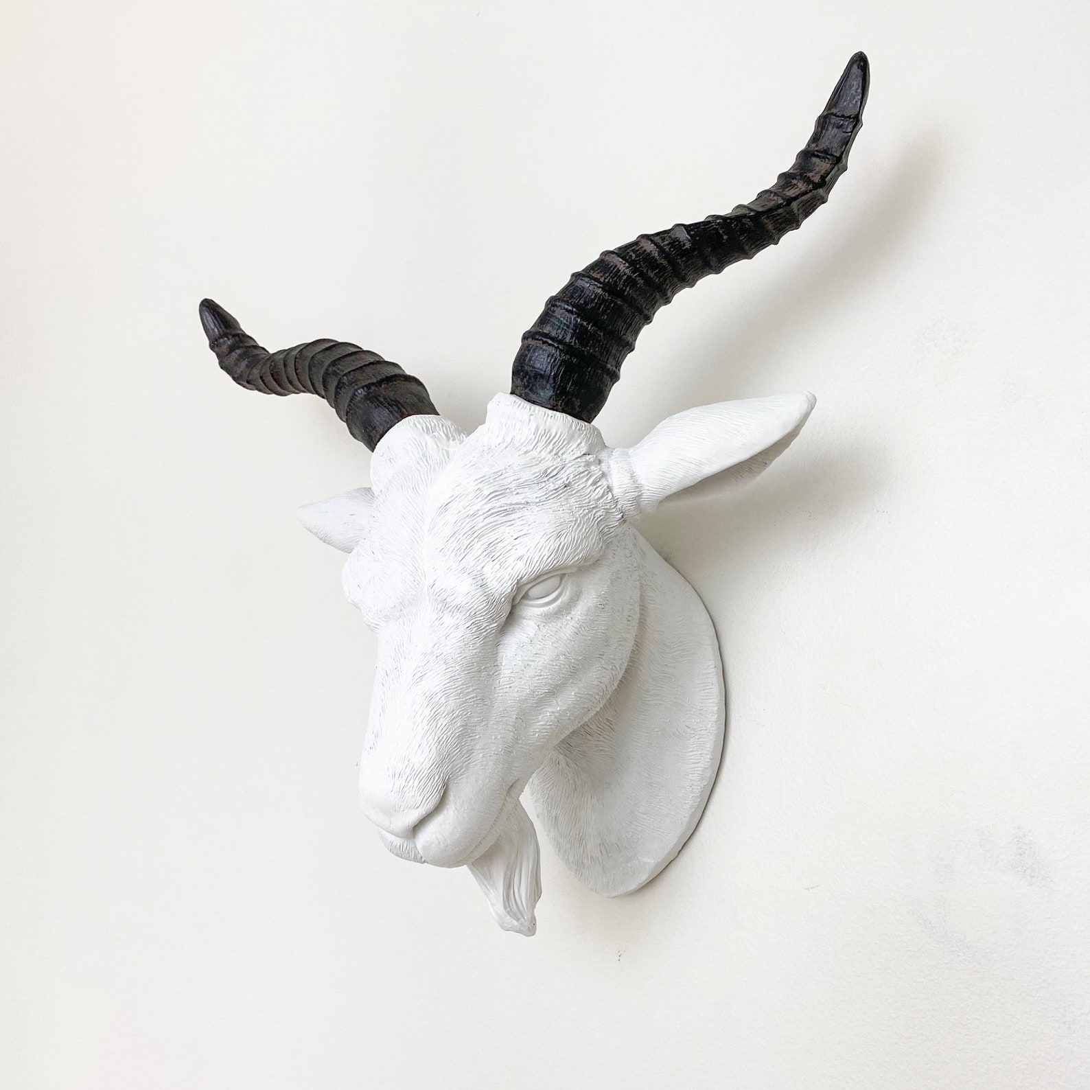 ANY COLOR Goat Head Wall Mount Faux Taxidermy Farm Decor Etsy