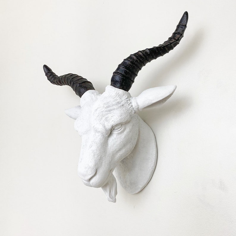 ANY COLOR Fake Goat Head Wall Mount Faux Taxidermy Etsy
