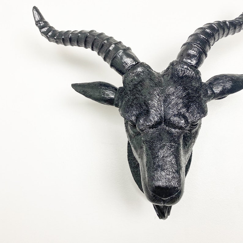 ANY COLOR Fake Goat Head Wall Mount Faux Taxidermy Gothic Etsy