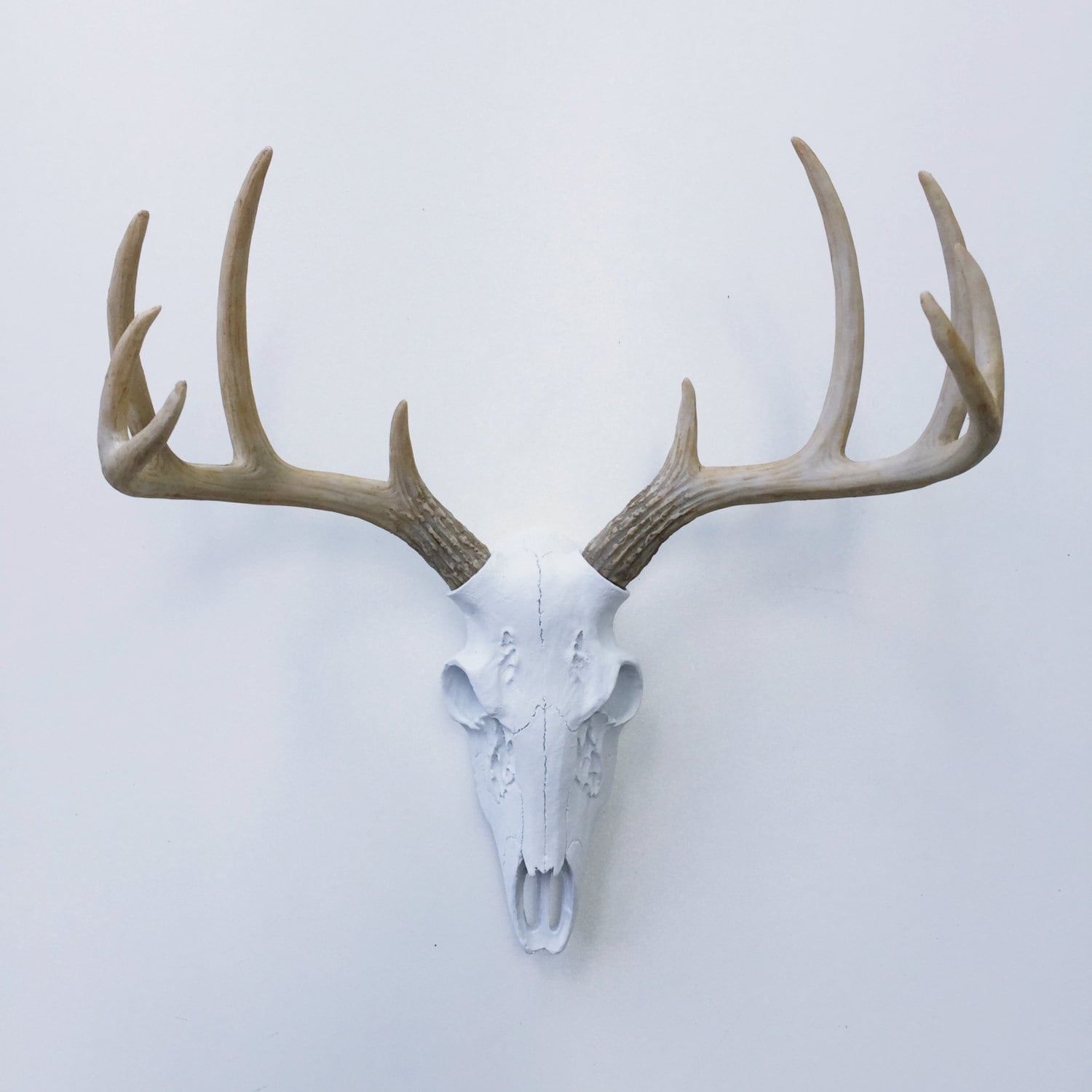 Ebros 10 Point Buck Head Wall Mount Resin Stag Deer Skull Antler Sculpture 