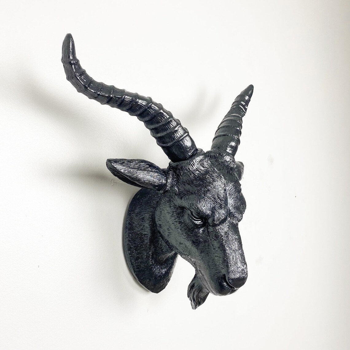 ANY COLOR Fake Goat Head Wall Mount Faux Taxidermy Gothic Etsy