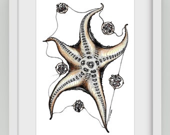 Zero Gravity of Starfish - digital art print
