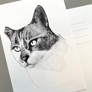 Gazbajin (Sr.) - Un gato de mi amigo - Impresión de arte digital