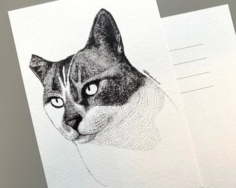 Gazbajin (Mr.) - A cat of my friend - digital art print