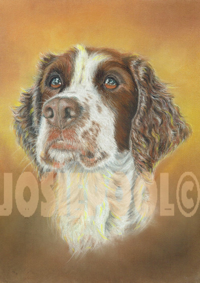 SPRINGER SPANIEL PRINT from Original Watercolour Painting Watercolor by Josie P