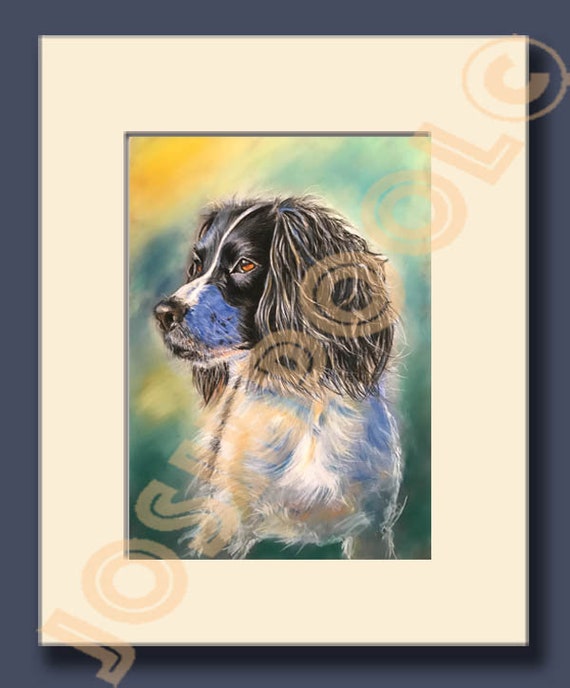 SPRINGER SPANIEL PRINT from Original Watercolour Painting Watercolor by Josie P
