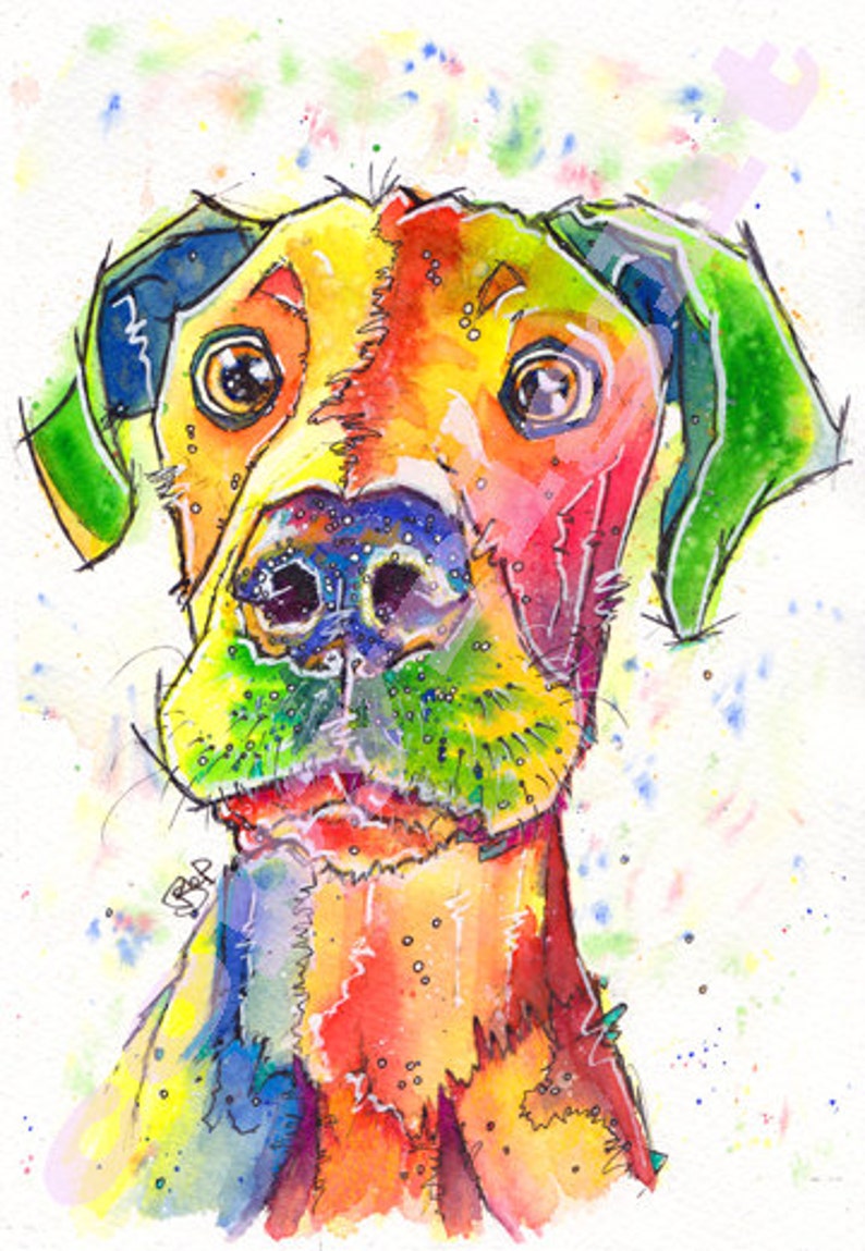 watercolour danes doberman weimaraner carini greatdane bacheca pupdays