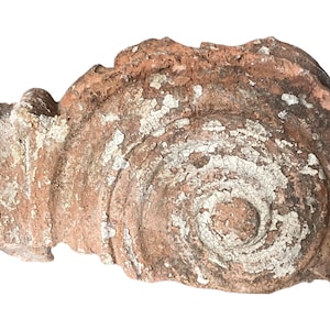 19th C TerraCotta Corinthian Column Fragment