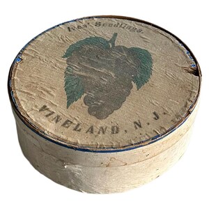 Original Primitive Antique Wood/Paper Fruit Farm Box