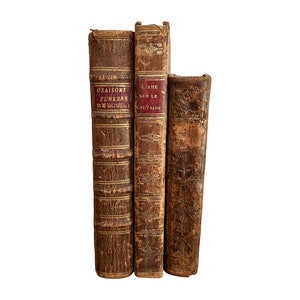 Decorative Set of French 19th C Leather Bound Books