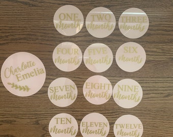 Acrylic Newborn Monthly Milestone Circles
