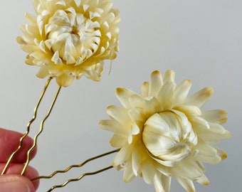 Straw flower Hair Pins - Dried Flower Hair Pin Set - Bridal Hair Pins - Rustic Wedding - Dried Flower Pins - Dried Flower Bobby Pins