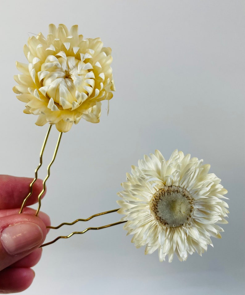 Straw Flower Hair Pins Dried Flower Hair Pin Set Bridal - Etsy