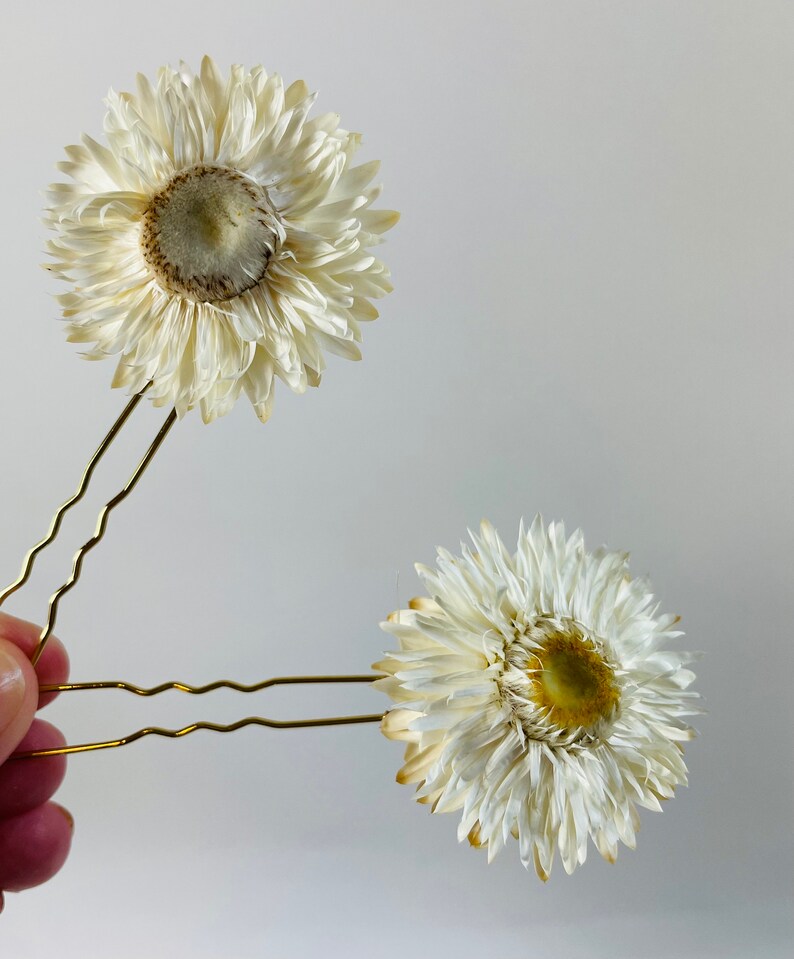 Straw Flower Hair Pins Dried Flower Hair Pin Set Bridal - Etsy