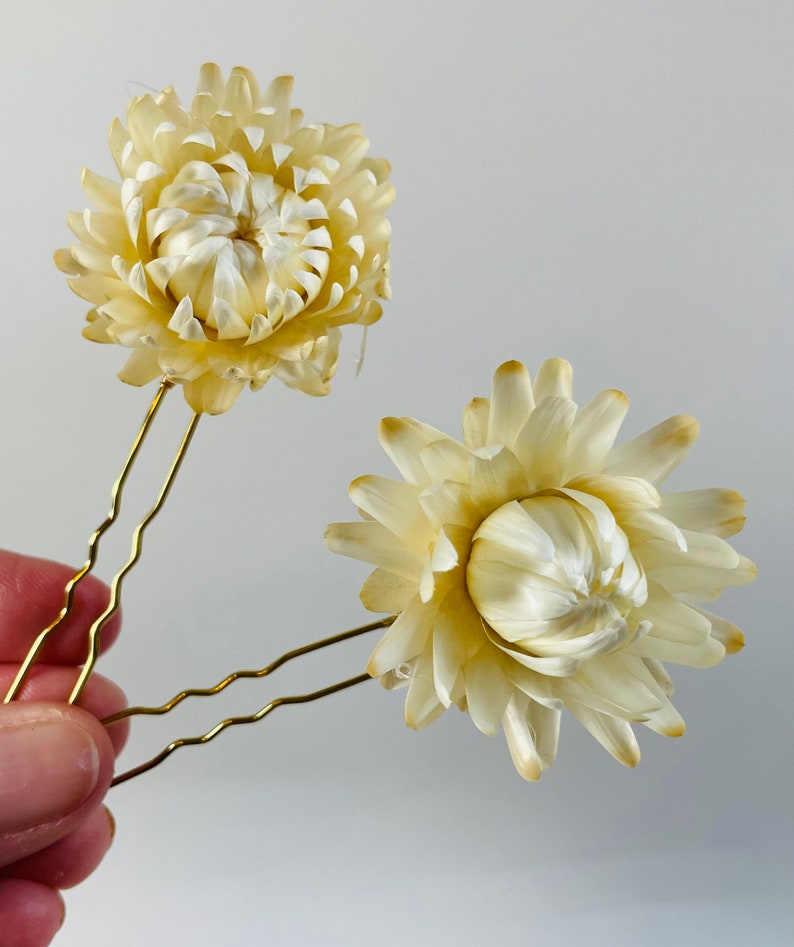 Straw Flower Hair Pins Dried Flower Hair Pin Set Bridal - Etsy
