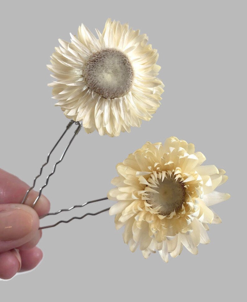 Straw flower Hair Pins Dried Flower Hair Pin Set Bridal | Etsy