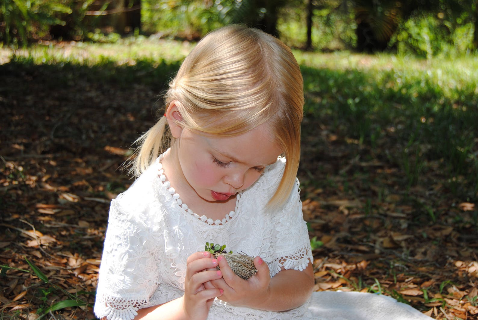 Succulent Ring Bearer Bird Nest Ring Holder Wedding Ring Etsy UK