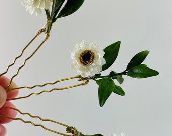 Dried Daisy Flower - Wedding Hair Pins - Boxwood Hair Pins - Greenery Hair Pins For Wedding - Dried Flower Pins - Rustic Wedding Pins