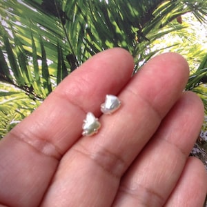 May include: A pair of small, irregular-shaped pearl earrings. The earrings are a light, iridescent color and appear to be set in silver. The earrings are displayed against a background of green and yellow foliage.