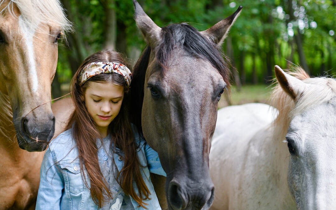 HKM HOBBY HORSE Black | De Kroo Equestrian