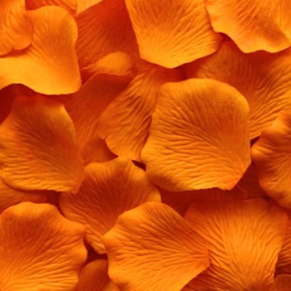 Orange Silk Petals {Package of 100} | Wedding Petals, Aisle Petals, Flower Girl Petals