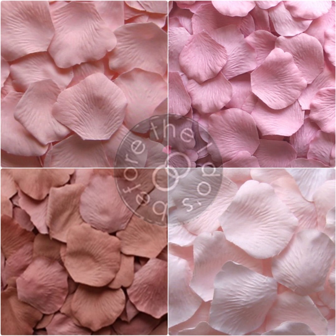 Shades of Pink Wedding Petals Pink Blush, Soft Pink, Vintage Rose