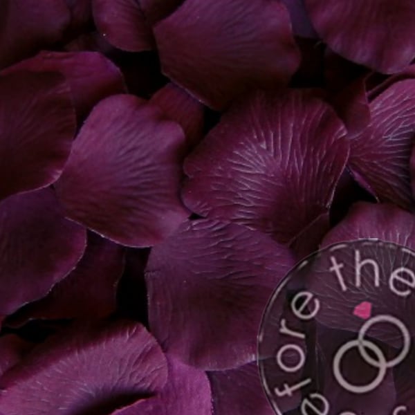 Plum Purple Wedding Petals - Faux Silk Petals - Artificial Petals - Flower Petals (Package of 100)